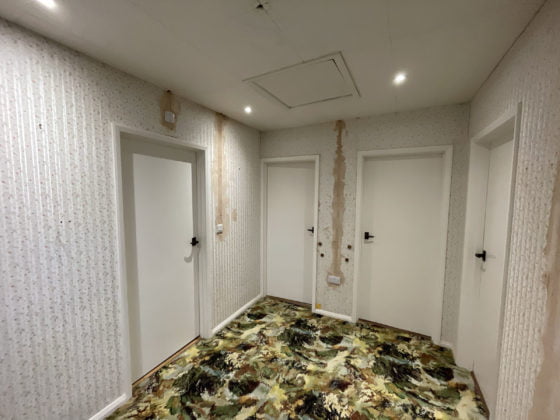 Interior hallway with patterned carpet and multiple doors.