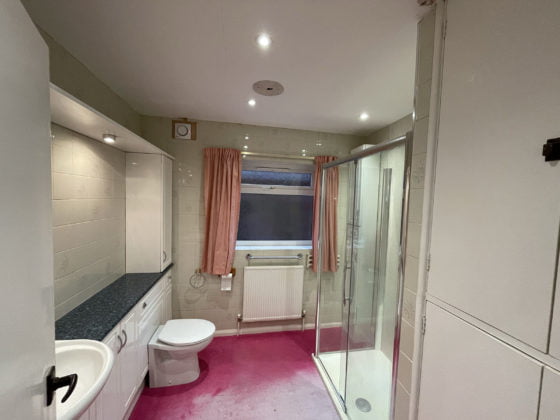 Modern bathroom with shower and pink accents.